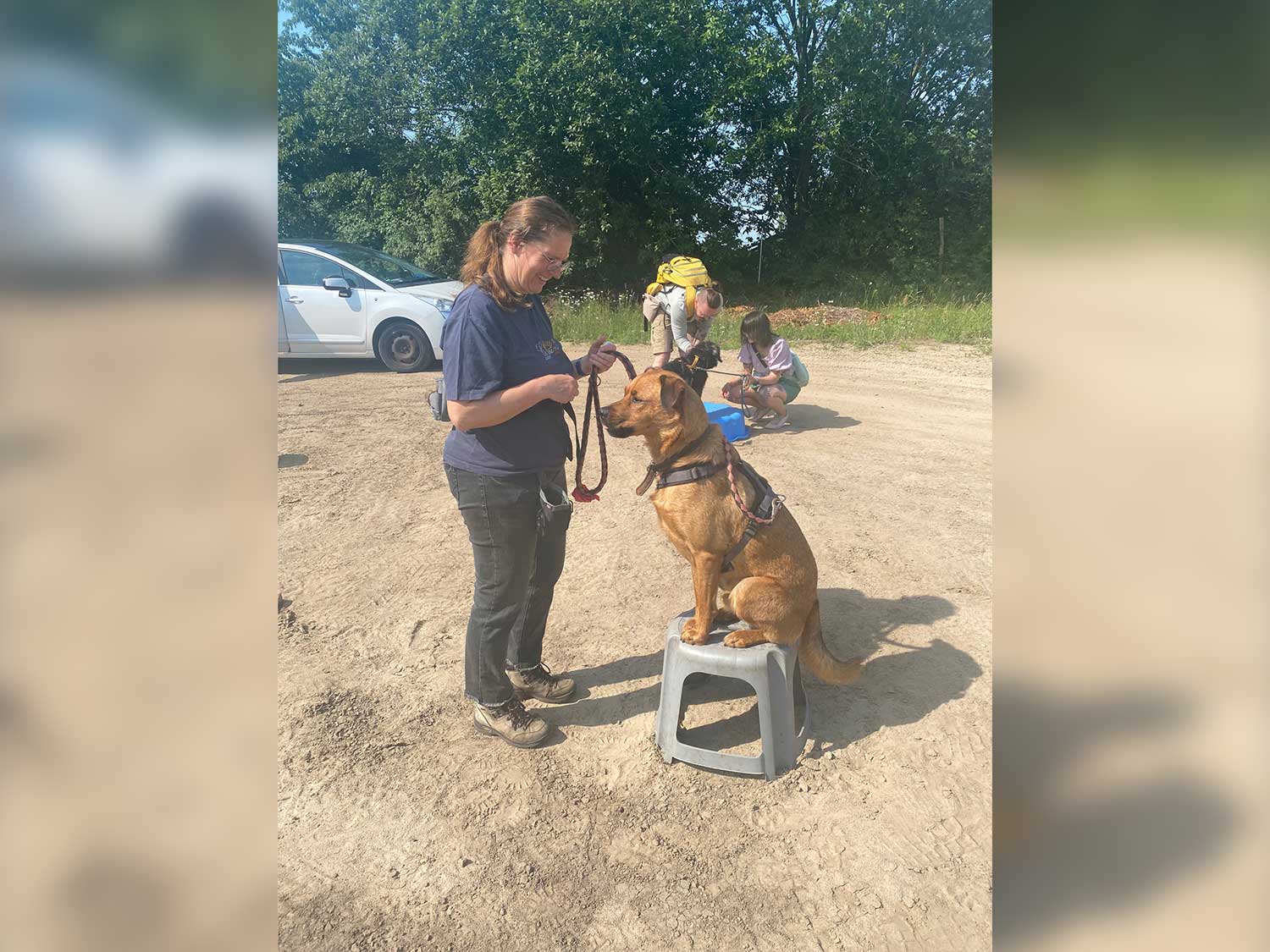 Hundetraining mit Sabine Wolf