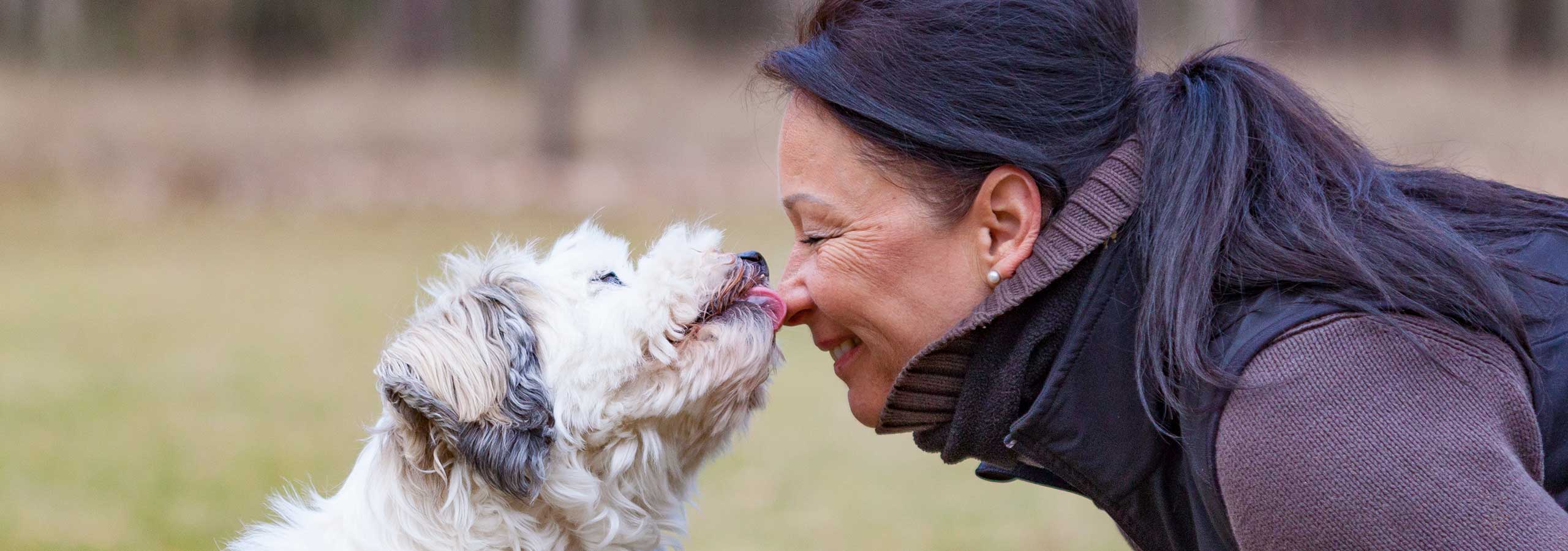 Mobiles Hundetraining in Teltow