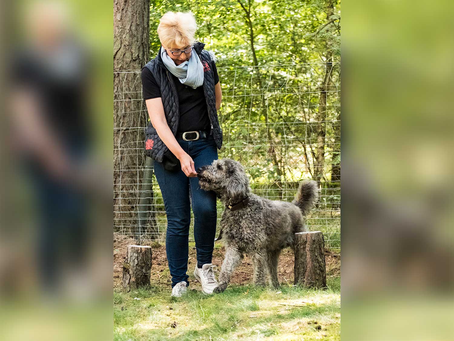 Hundetraining mit Sabine Wolf