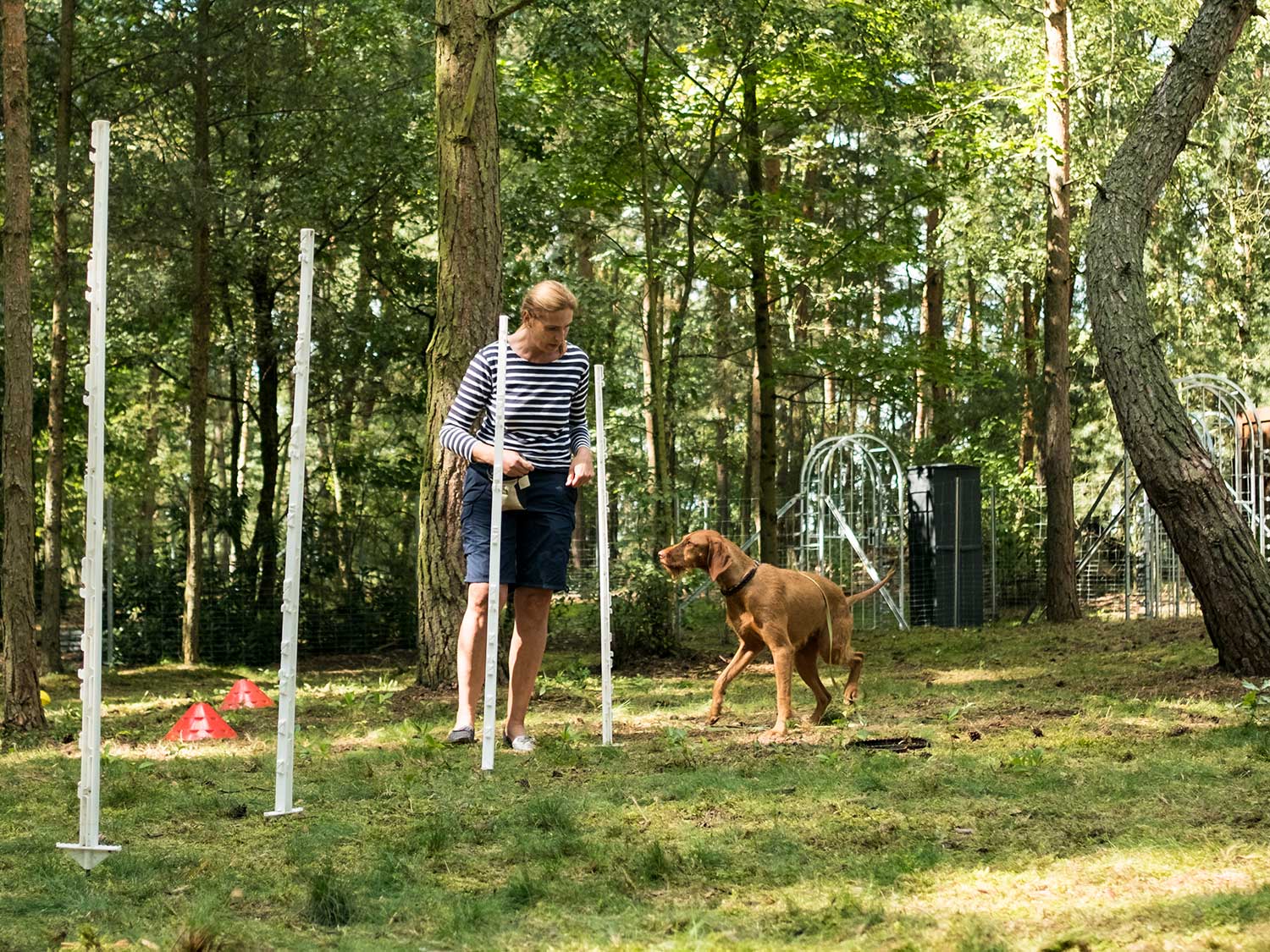 Hundetraining mit Sabine Wolf