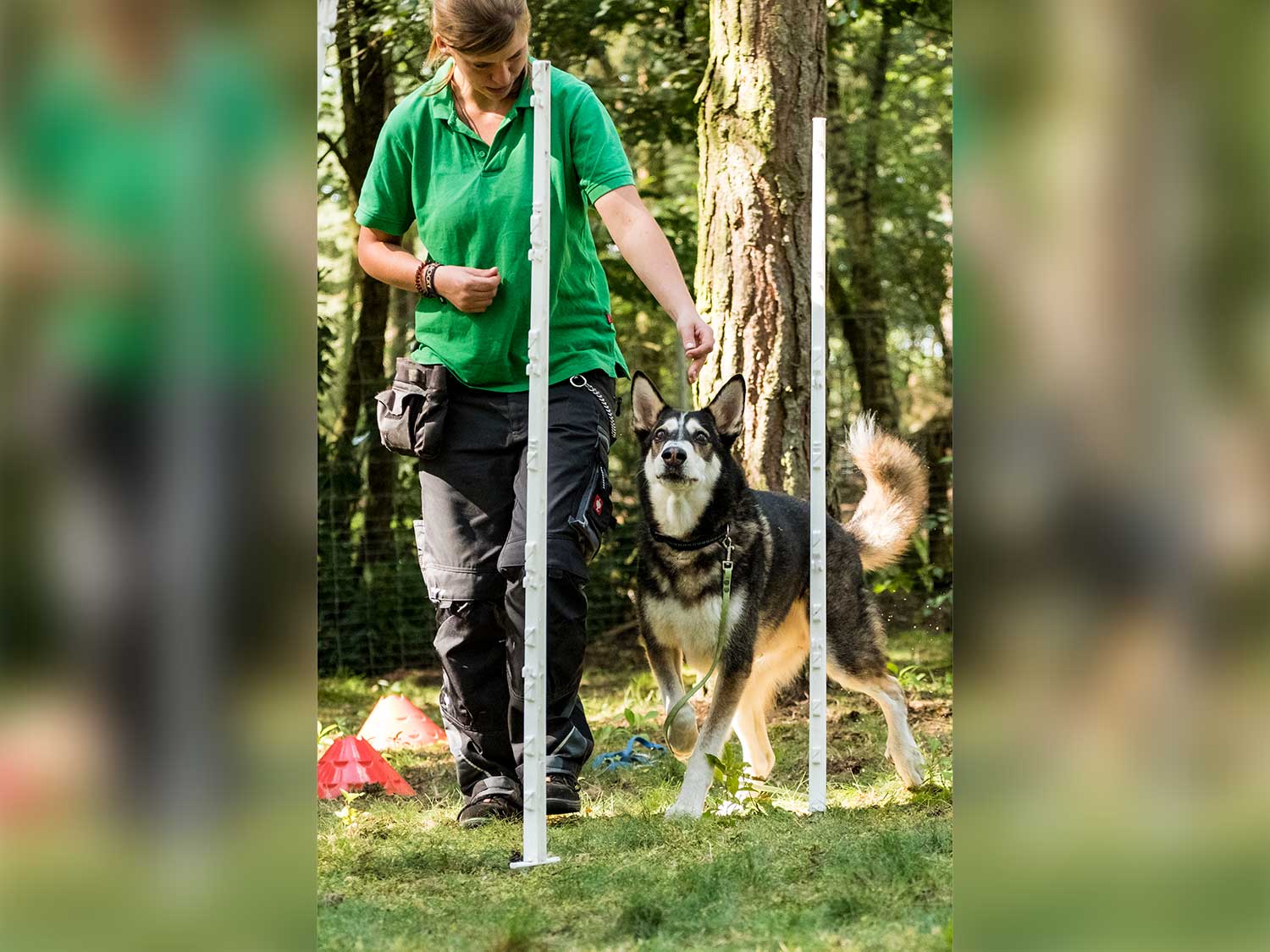 Hundetraining mit Sabine Wolf