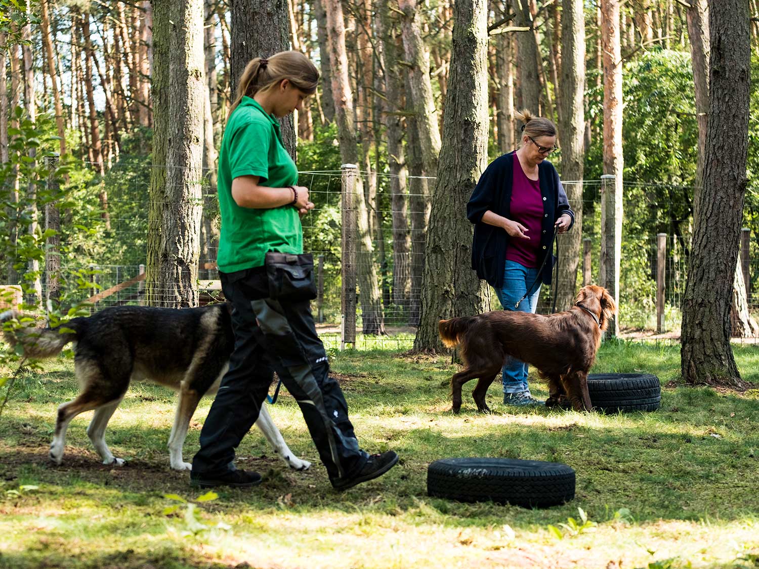 Hundetraining mit Sabine Wolf