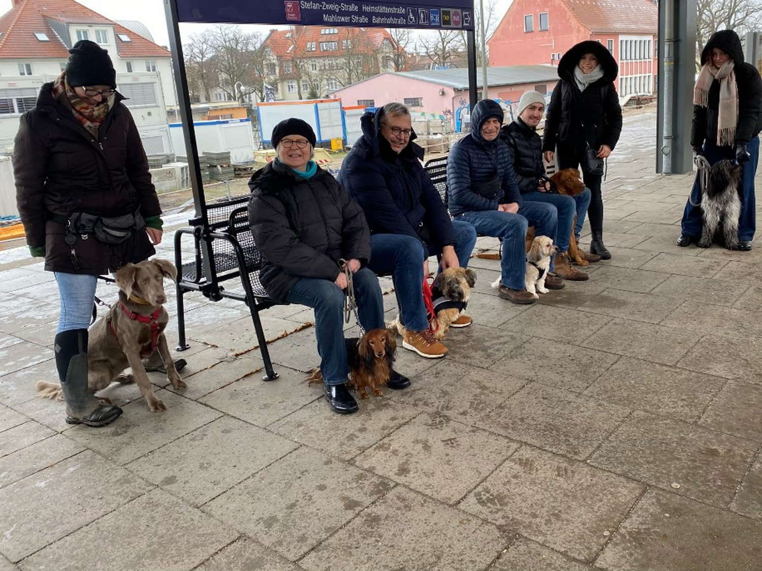 Hundetraining in der Gruppe