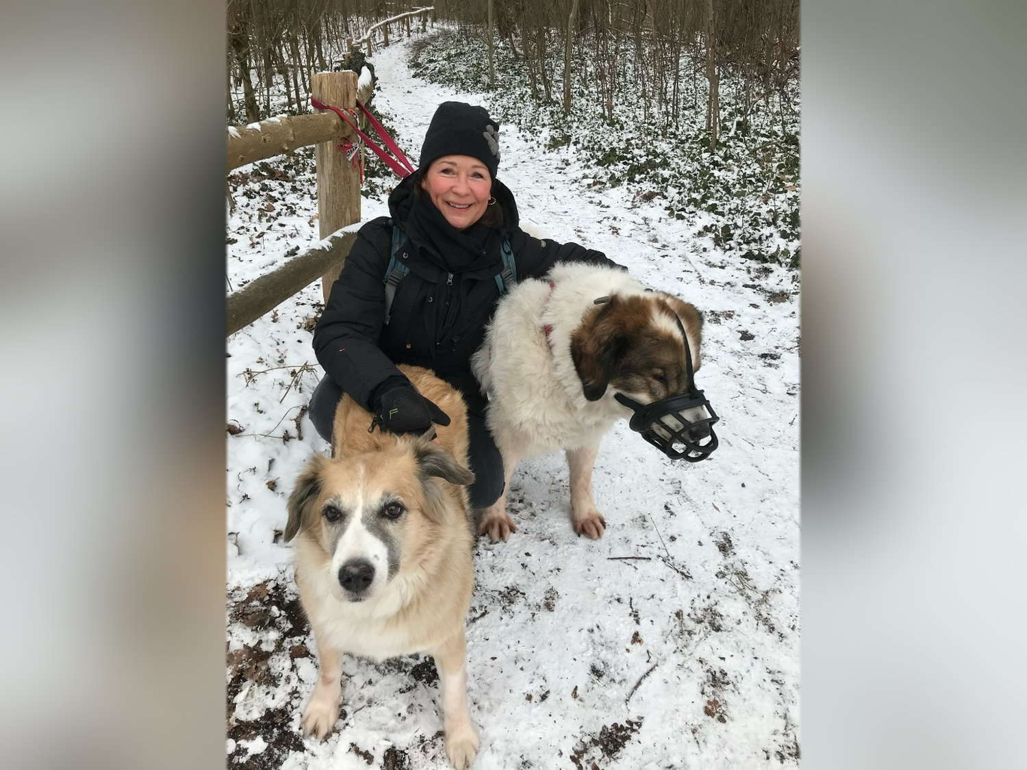 Sabine Wolf mit Hunden im Winter
