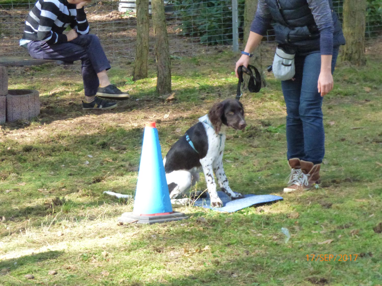 Hundetraining mit Sabine Wolf